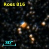 NLTT 44264