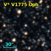 V* V1775 Oph