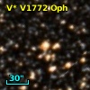 V* V1772 Oph