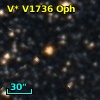 V* V1736 Oph