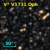V* V1731 Oph