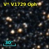 V* V1729 Oph