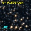 V* V1695 Oph