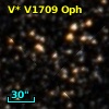 V* V1709 Oph