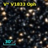 V* V1833 Oph