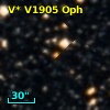 V* V1905 Oph