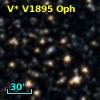 V* V1895 Oph