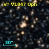 V* V1847 Oph