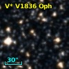 V* V1836 Oph