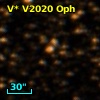V* V2020 Oph
