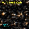 V* V1965 Oph