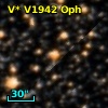 V* V1942 Oph
