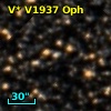 V* V1937 Oph