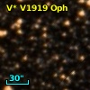 V* V1919 Oph