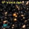 V* V1916 Oph