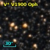 V* V1900 Oph