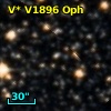 V* V1896 Oph