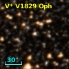 V* V1829 Oph