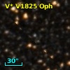V* V1825 Oph