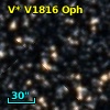 V* V1816 Oph