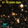 V* V1800 Oph