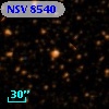 NSV  8540