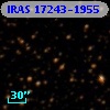 IRAS 17243-1955