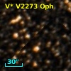V* V2273 Oph