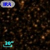 IRAS 17311-2142