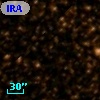 IRAS 17328-2148