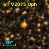 V* V2075 Oph
