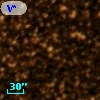 V* V554 Oph