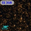 SS 319