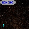 LDN  202