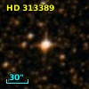 HD 313389