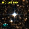 HD 163190