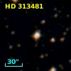 HD 313481