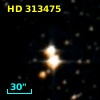 HD 313475