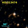 HD 313474