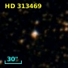 HD 313469
