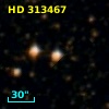 HD 313467