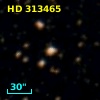 HD 313465