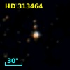 HD 313464