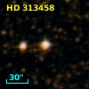 HD 313458