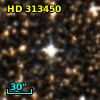 HD 313450