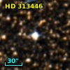 HD 313446