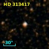 HD 313417