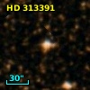 HD 313391