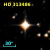 HD 313486