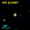 HD 313487